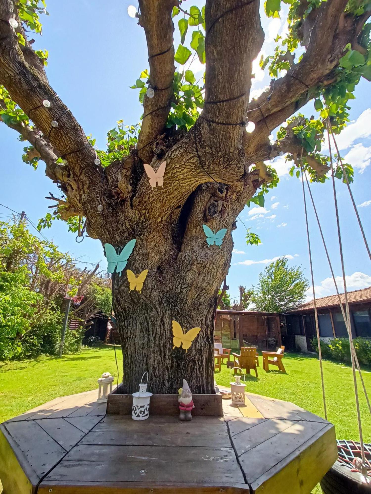 Theopetra Home Kültér fotó